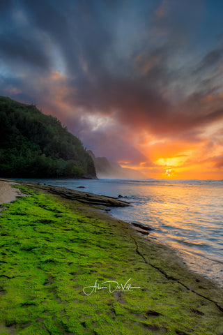 Nā Pali Beauty